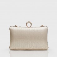 Women's Vintage Evening Bag Accessories